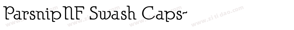 ParsnipNF Swash Caps字体转换